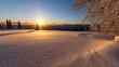 Pomarańczowy zachód słońca nad ośnieżonymi choinkami, Pec pod Śnieżką, Czechy