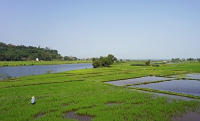 Poster - large rice fields around hue