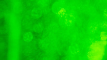 Blurred Abstract Holiday Background. Air Bubbles In A Green Liquid, Background