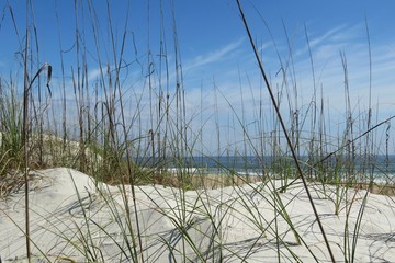 Beautiful ocean view and Florida dune