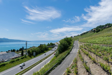 Wall Mural - View on Vineyards near Lausanne, Switzerland