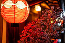 Kyoto, Japan Alley Colorful Street In Gion District At Night With Closeup Of Illuminated Red Paper Lantern Lamp And Cherry Blossom Sakura Flowers Decoration