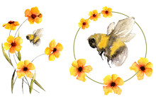 Bumblebee Or Honeybee Upon Flowers In Summer, Nice Watercolor Artwork Isolated On White Can Be Printed As Textile Pattern, Card Design, Wedding Invitation Element Or Symbol Of A Honey Production