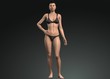 © vayno - 3d illustration. Female model wearing black underwear. standing female model