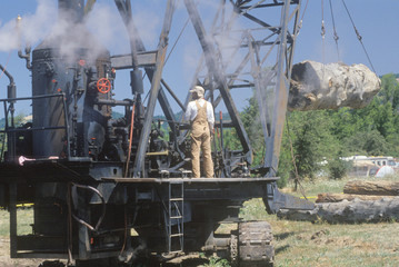 A 19th century reenactment of the logging industry at a lumber mill in Willits, California