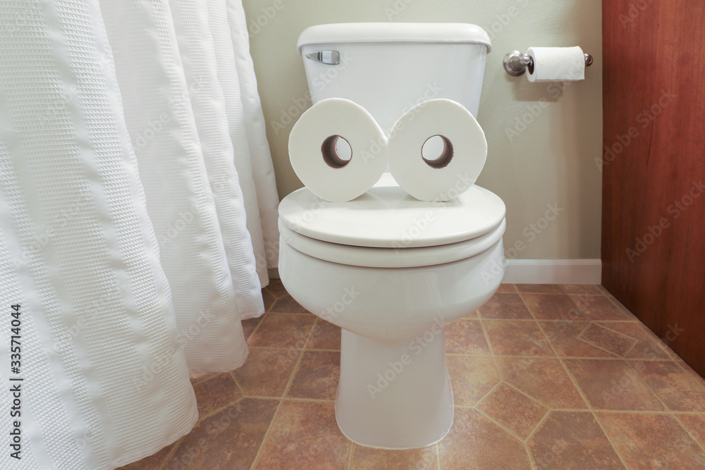 Toilet paper face formed with two toilet paper rolls on a toilet lid mouth