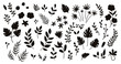 Vector tropical flowers leaves and twigs silhouettes. Jungle foliage and florals black illustration. Hand drawn flat exotic plants isolated on white background. Summer greenery shadows for children..