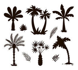 Wall Mural - Vector tropical palm trees silhouettes. Jungle foliage black illustration. Hand drawn black exotic plants isolated on white background. Summer trees stamp design.