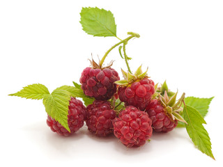 Canvas Print - Raspberry with leaves.