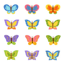 Beautiful And Bright Collection Of Different Butterflies.