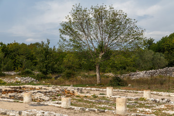 Wall Mural - Ruins of the ancient Fulfinum town on Krk island, Croatia