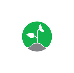 Seed related icon on background for graphic and web design. Creative illustration concept symbol for web or mobile app