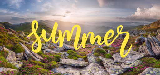 Wall Mural - nature summer background with flowers in mountain