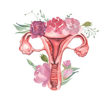 Watercolor Hand Painted Uterus With Simple Flowers. Menstrual, Woman, Feminism Clipart. 
