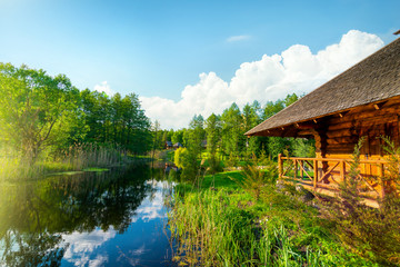 Wall Mural - pond and forest