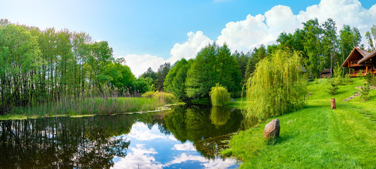 Wall Mural - pond and field