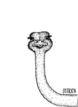 Hand Drawn Vector Illustration Of An Ostrich 