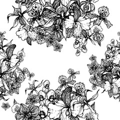 Wall Mural - orchids seamless pattern