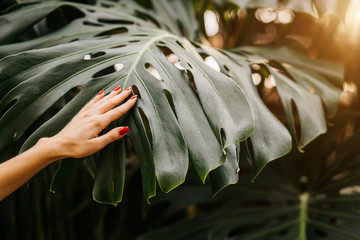 Sticker - Woman on tropical plants background