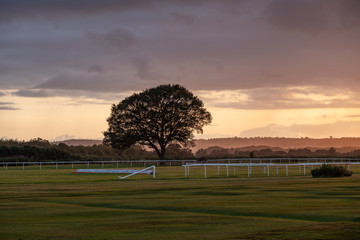 Poster - Stormy Sky over British Horse Race Track