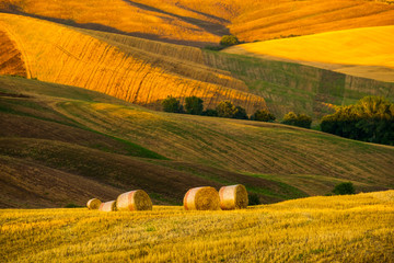 Wall Mural - Late summer aerial landscape of valley