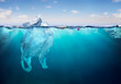 © Romolo Tavani - Plastic Pollution In Ocean - Plastic Bag Floating On Sea - Environmental Problem