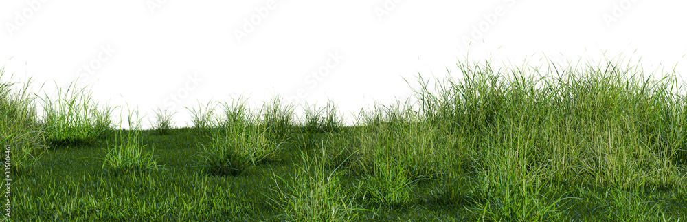 3D illustration of bush lush on green grass field - obrazy, fototapety, plakaty 