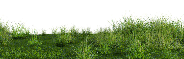 3d illustration of bush lush on green grass field