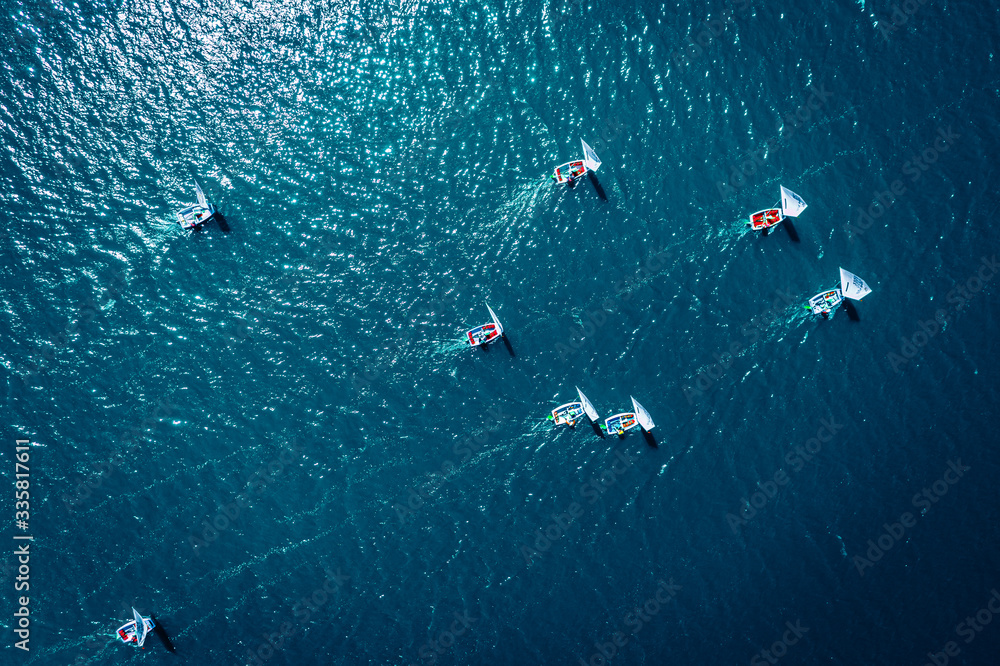 Small sailing boats on the lake during the competition - obrazy, fototapety, plakaty 