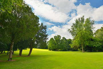 Large golf course in beautiful park