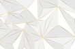 Abstract geometric layout background with white and gold element. Abstract modern background. Elegant geometric design with golden line vector
