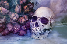 Still Life Skull With A Bouquet Of Roses In Light Haze