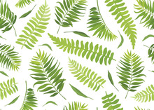 Seamless Pattern With Different Tropical Green Leaves. Vector Illustration.