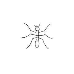 Wall Mural - Vector hand drawn doodle sketch ant isolated on white background