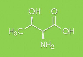 Threonine (l-threonine, Thr, T) amino acid molecule. Skeletal formula.