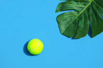 Wall Mural - Tennis summer concept with green monstera leaf and ball on blue color hard tennis court.