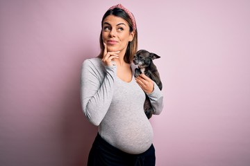 Sticker - Young beautiful brunette woman pregnant expecting baby holding chihuahua puppy serious face thinking about question, very confused idea