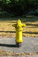 FIRE HYDRANT Painted In Yellow On A Town Street 