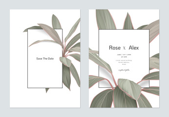 Foliage wedding invitation card template design, Cordyline fruticosa Firebrand plant on white