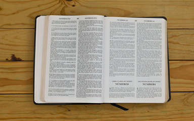 Wall Mural - open bilingual bible book on Numbers, Spanish and english 