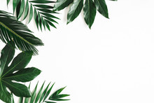 Summer Composition. Tropical Leaves On White Background. Summer Concept. Flat Lay, Top View, Copy Space