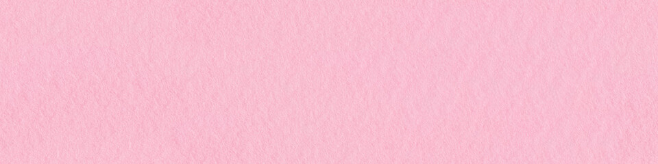 Canvas Print - Soft pink natural felt texture. Panoramic seamless texture, patt