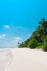 Wall Mural - Tropical vacations beach, empty clean white sand and coconut palm trees