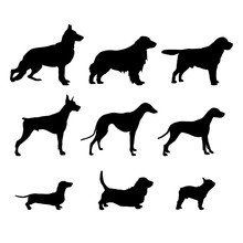 Set Black Dog Silhouettes Are Standing. Vector