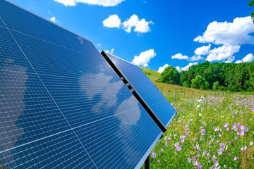 Wall Mural - clean energy concept, photovoltaic panels