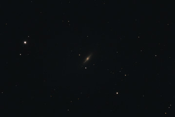 Wall Mural - The Spindle Galaxy Messier 102 in the constellation Draco photographed with a Maksutov telescope from Mannheim in Germany.