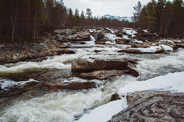 Wall Mural - mountain river on background of rocks and forest. forest river water landscape. wild river in mounta