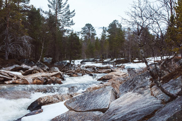 Wall Mural - mountain river on background of rocks and forest. forest river water landscape. wild river in mounta