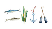 Set Of Watercolor Illustrations In A Marine Style. Fish, Anchor And Oars Drawings For Decor