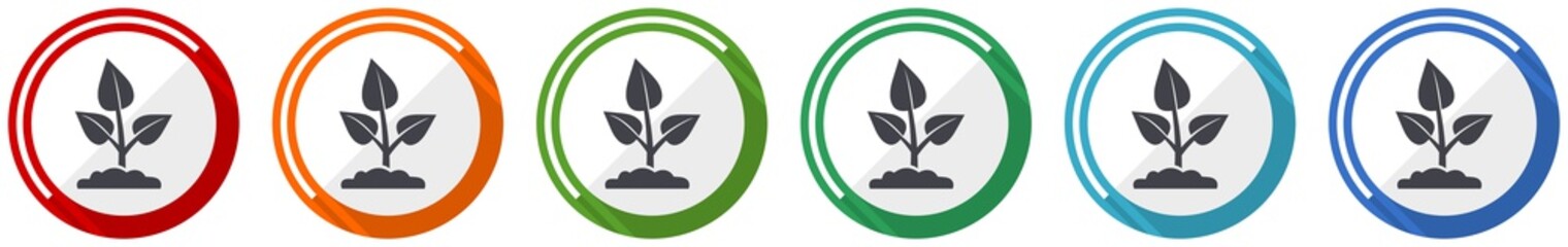 Leinwandbilder - Nature plant icon set, organic, ecology flat design vector illustration in 6 colors options for webdesign and mobile applications